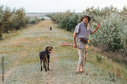 Hunter with a German trotter and spaniel, hunting a pheasant with dogs 