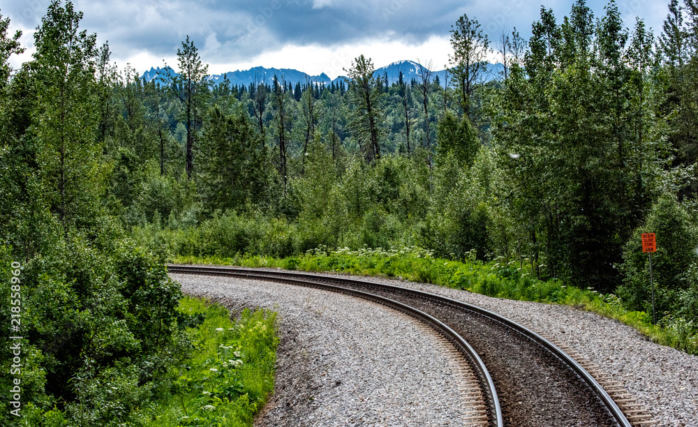 Obraz premium Light blue northern sky and boreal forest frame the Alaska Railroad