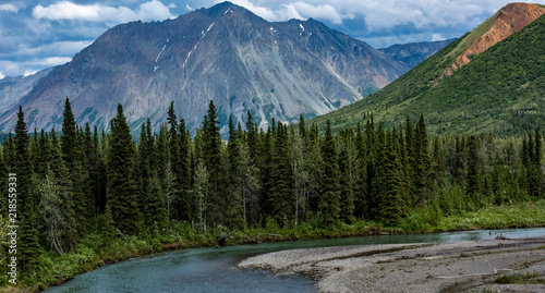 Boreal forest in the foreground frames the Alaska Range Mountains