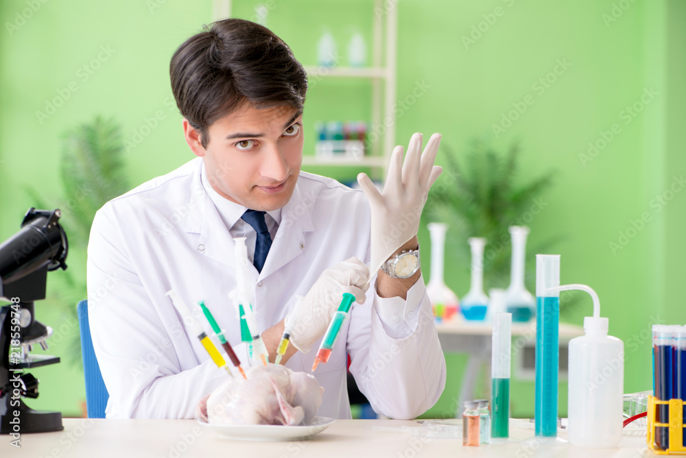 Lab assistant testing GMO chicken Lab assistant testing GMO chicken