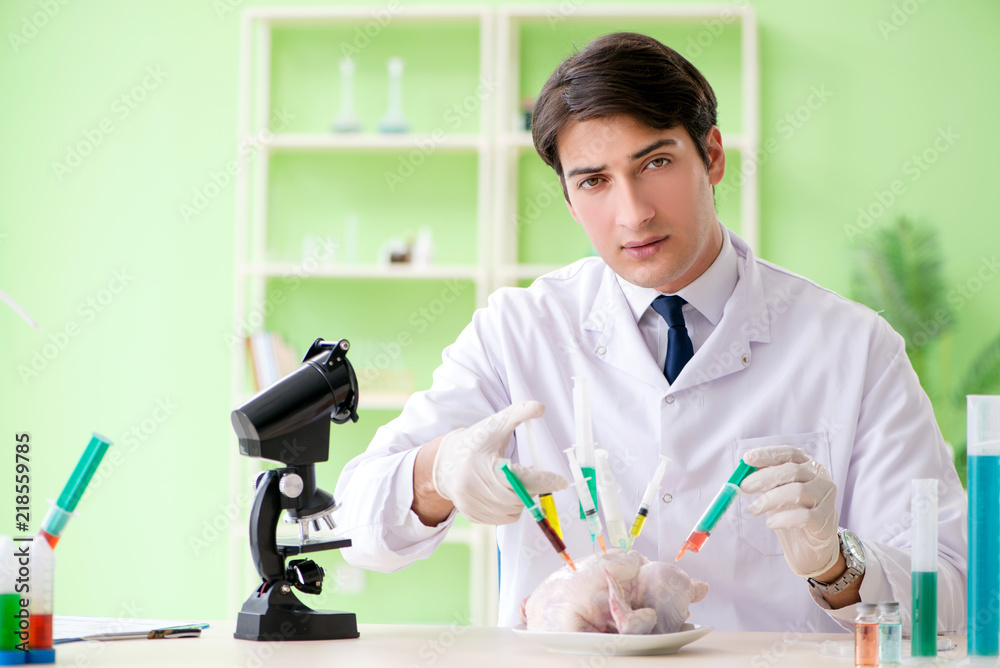 Fototapeta premium Lab assistant testing GMO chicken