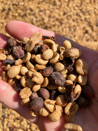 African Coffee