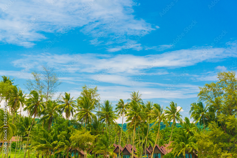 Coconut palm tree blue sky background