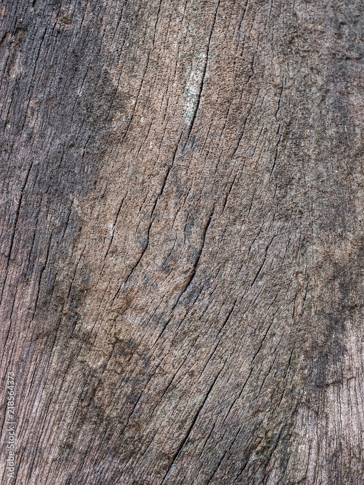 Obraz premium old wood wall background