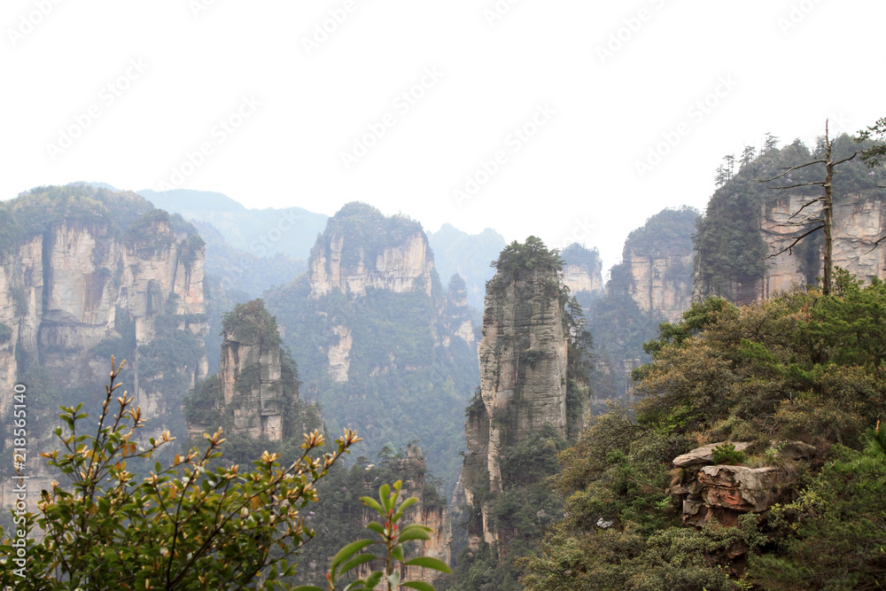 TianZi Mountain natural scenery