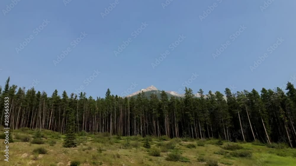 Casually driving in the mountains past the forest trees. Casually driving in the mountains past the forest trees.