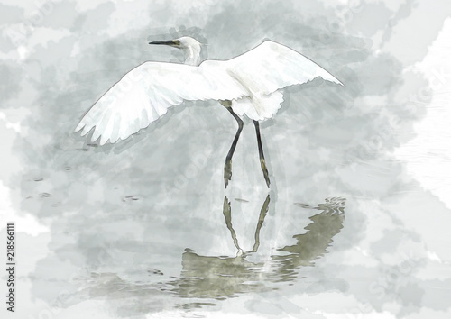 water color of bird.