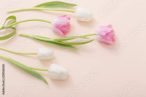 pink and white tulips on paper background