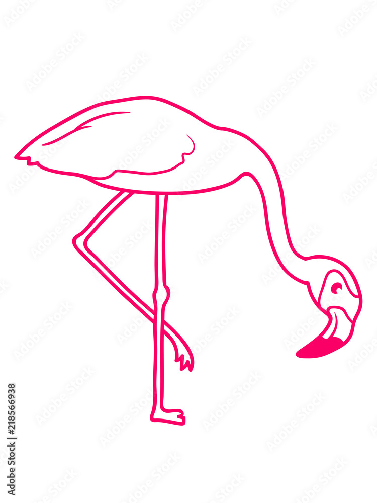Wee Blue Coo Geburtstagskarte 'Flamingo Obst Spaß' – Für 6-Jährige, 17,5x12,5 Cm, Nachhaltiger Karton