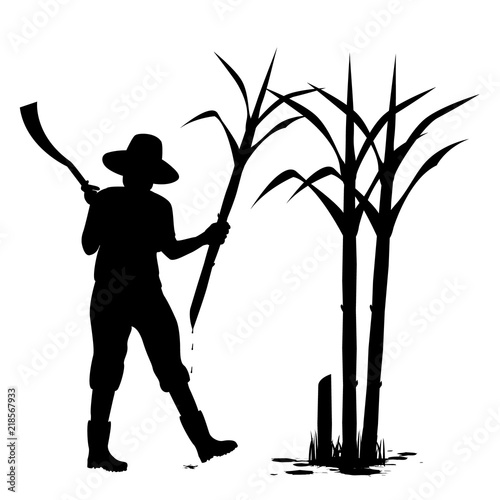silhouette agriculturist harvest sugarcane vector design