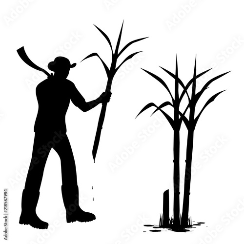 silhouette agriculturist harvest sugarcane vector design