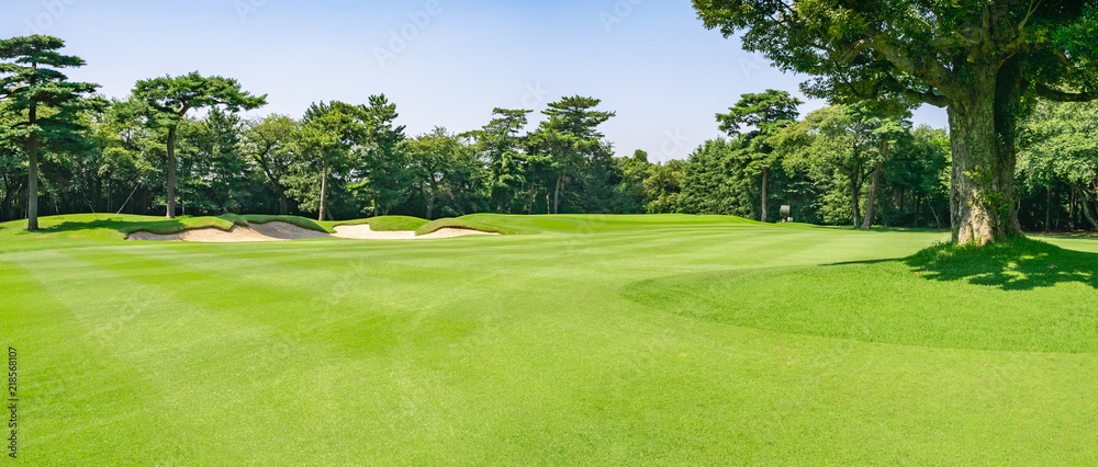 Fototapeta premium ゴルフ場 ゴルフコース フェアウェイ