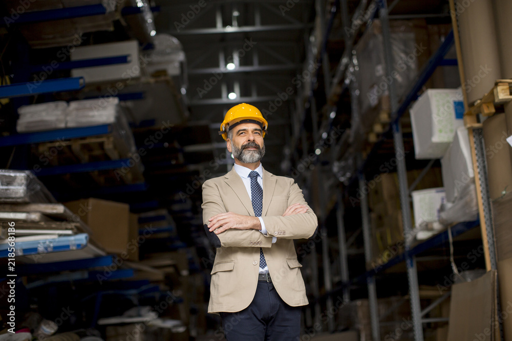 Portrait of senior businessman in suit with helmet in a warehouse Portrait of senior businessman in suit with helmet in a warehouse