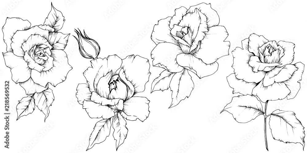 Rose flower in a vector style isolated. Full name of the plant: rose. Vector flower for background, texture, wrapper pattern, frame or border. Rose flower in a vector style isolated. Full name of the plant: rose. Vector flower for background, texture, wrapper pattern, frame or border.