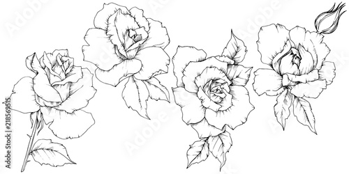 Rose flower in a vector style isolated. Full name of the plant: rose. Vector flower for background, texture, wrapper pattern, frame or border.