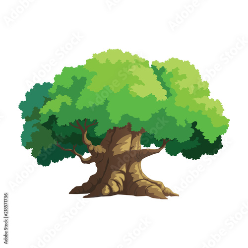 illustration tree for cartoon