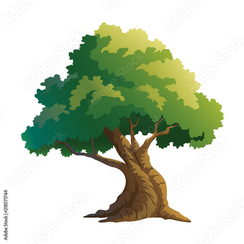 vector illustration for tree on white background