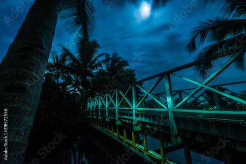 bridge with the moon light