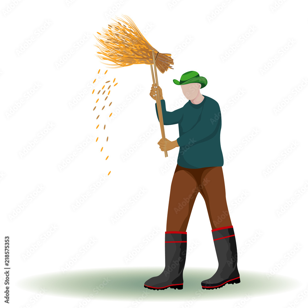 farmer harvest rice vector design