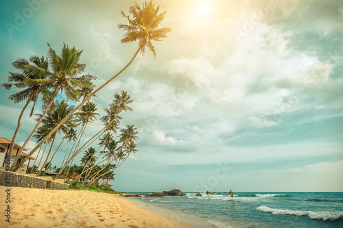 Fototapeta Naklejka Na Ścianę i Meble -  Beautiful sea cost view. Indian ocean costline beach with palms