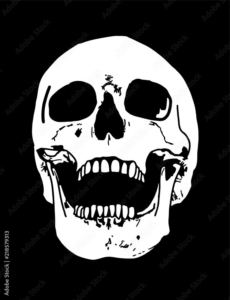 A laughing human skull illustration hand drawn on black background Stock  Vector | Adobe Stock