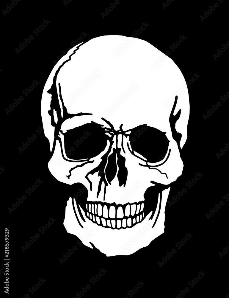 Fototapeta premium A human skull illustration white on a black background