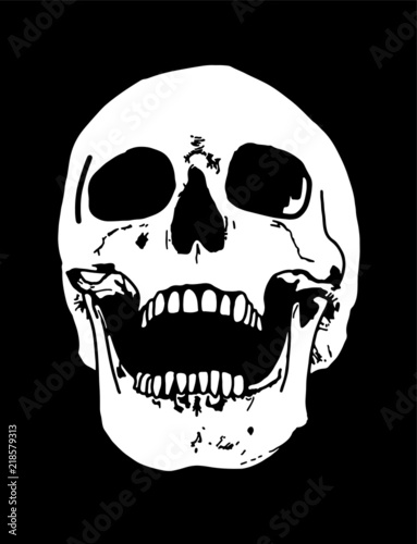 A laughing human skull illustration hand drawn on black background