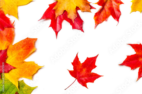 Isolated Falling autumn leaves. Abstract fall pattern. Flying  Marple leaves isolated  on white background..