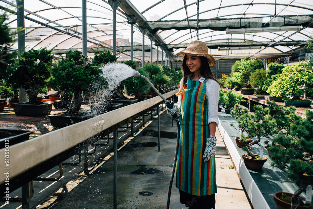 Bonsai greenhouse center. rows with small trees, woman working and taking care of the plants Bonsai greenhouse center. rows with small trees, woman working and taking care of the plants