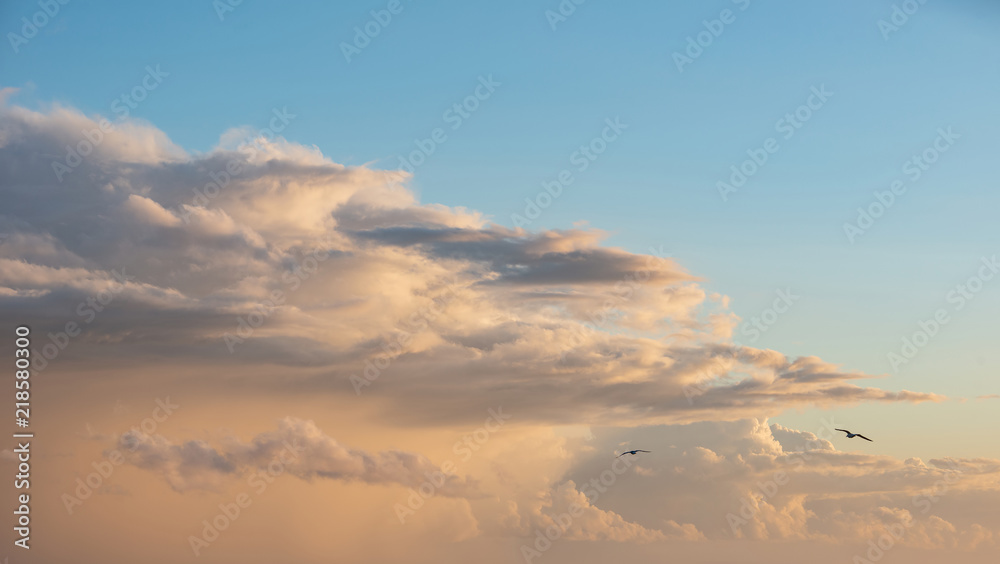 Beautiful cumulonimbus stormy rain cloud formations in Summer sunset sky with dramatic moody color and texture Beautiful cumulonimbus stormy rain cloud formations in Summer sunset sky with dramatic moody color and texture