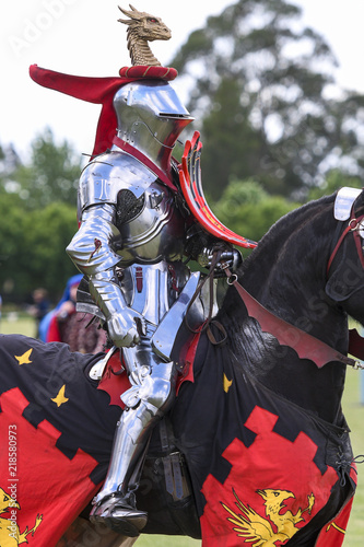 A knight during medieval jousting tournament