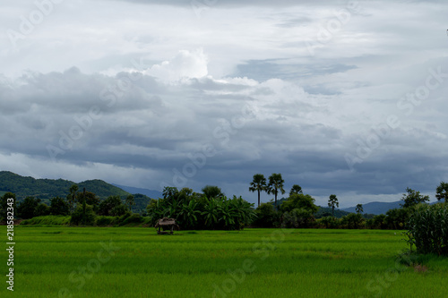 View of the countryside in the valley, Thailand