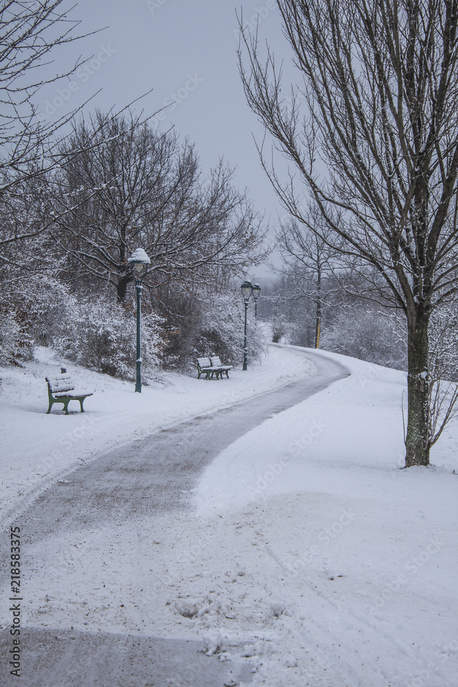 Obraz premium Winterlandschaft