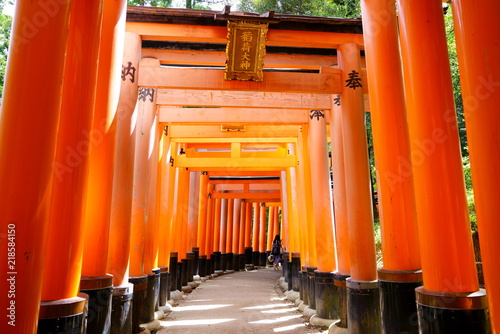 [京都府]伏見稲荷大社