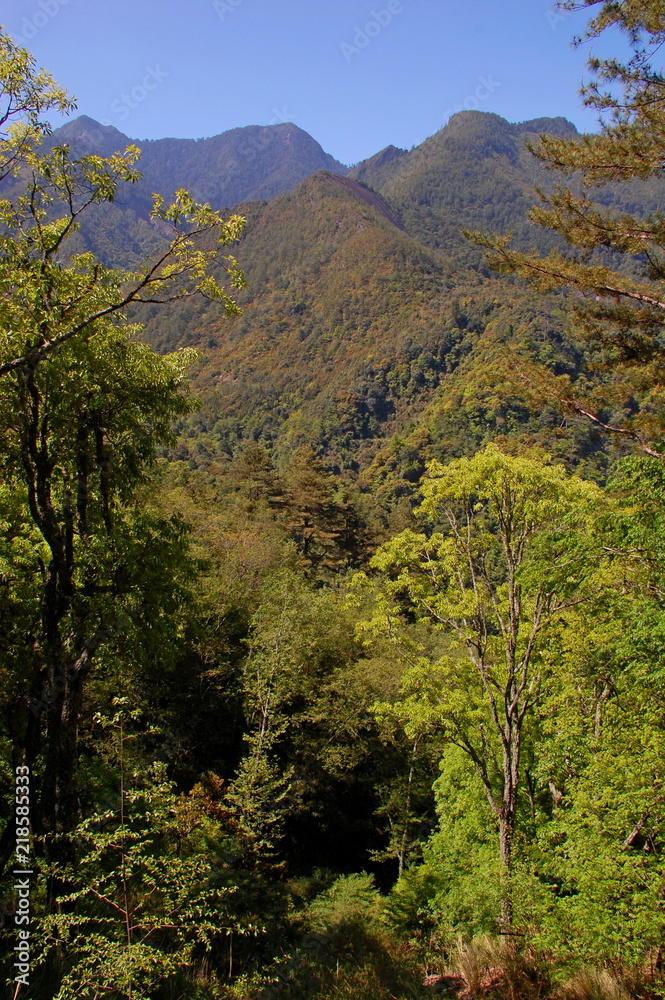 Landscapes in Spring in the mountains in Hsinchu, Taiwan Landscapes in Spring in the mountains in Hsinchu, Taiwan