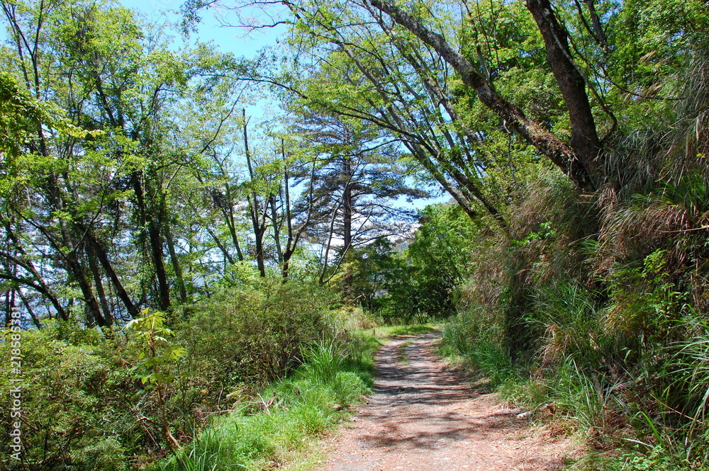 Hiking trails in the mountains in Spring in Hsinchu, Taiwan Hiking trails in the mountains in Spring in Hsinchu, Taiwan
