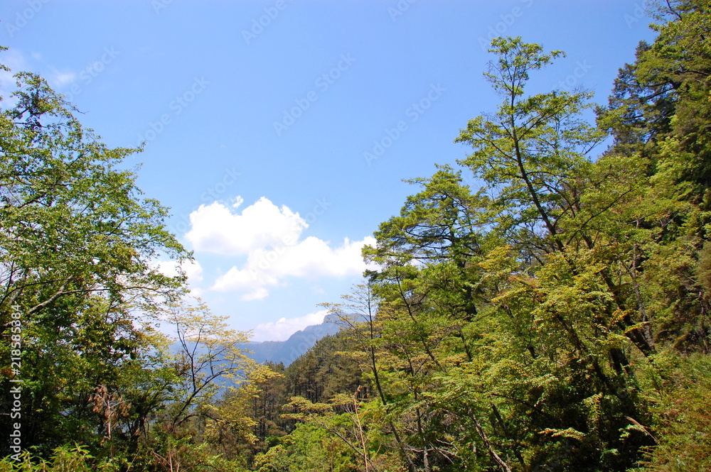 Landscapes in Spring in the mountains in Hsinchu, Taiwan