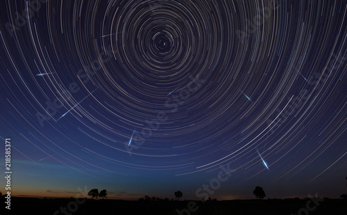 Fototapeta Naklejka Na Ścianę i Meble -  Night landscape with trees and startrails in the sky and falling stars - perseids
