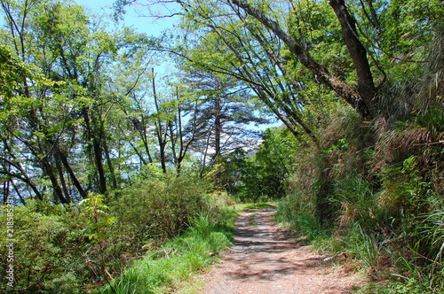 Hiking trails in the mountains in Spring in Hsinchu, Taiwan