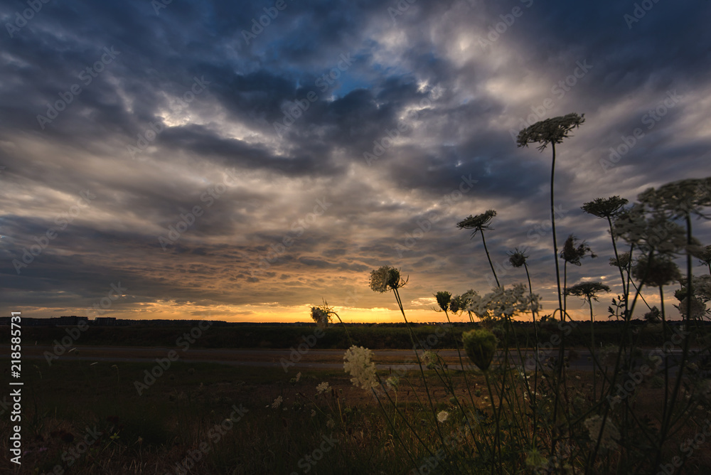 Obraz premium sunset in city