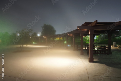 Fog is coming in the night to the park