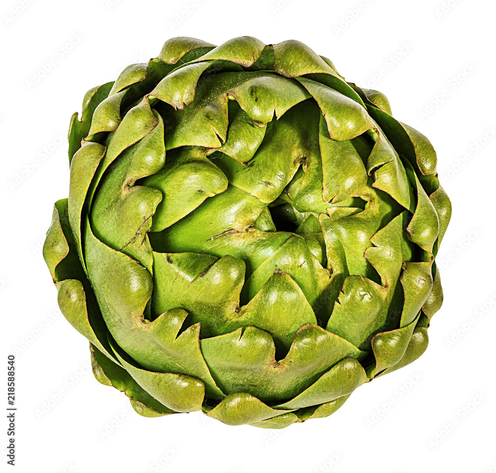 Fototapeta premium Fresh artichoke isolated on white background with clipping path