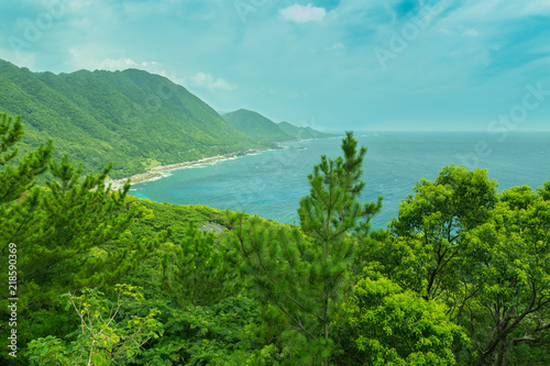 View of the coastal road on Yakushima island, Japan.