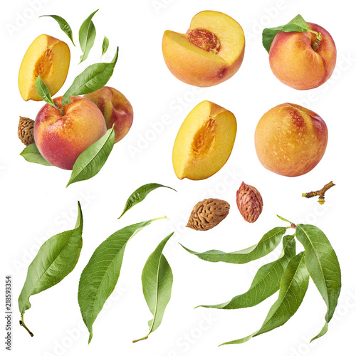 Set with different parts of fresh ripe peaches and leaves