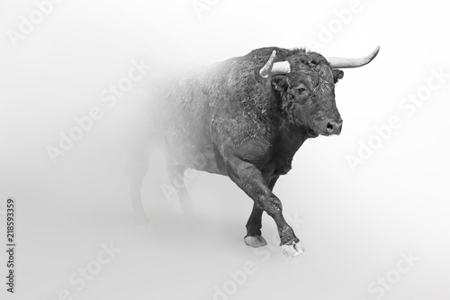 Bull or taurus european wildlife animal art collection grayscale white edition