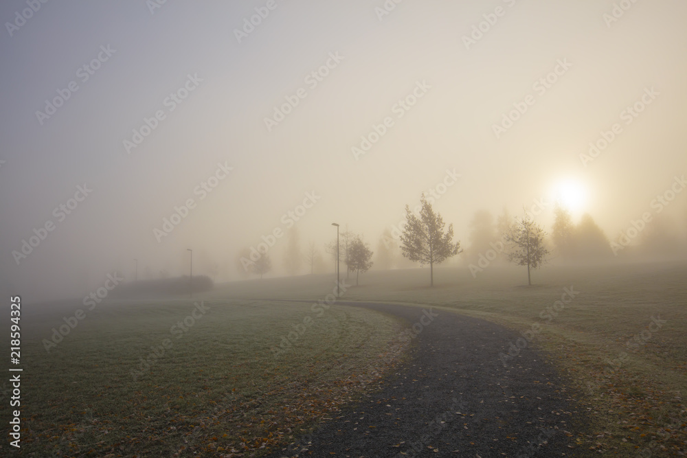 A very foggy autumn morning in Finland. There are autumn trees in the photo. The sun shines brightly in front. The pedestrian road passes across the picture.