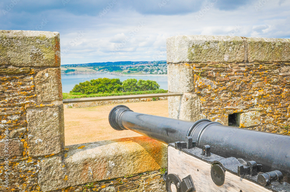 Cannon with a view
