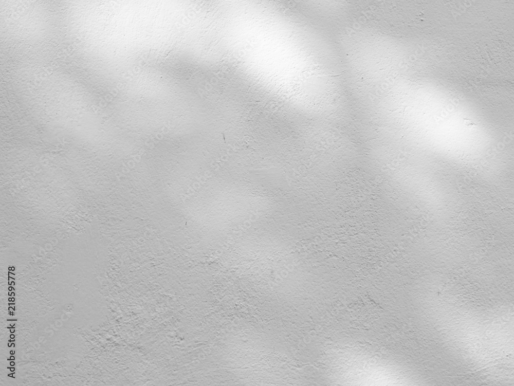 Black and White abstract background textuer of shadows leaf on a concrete wall Black and White abstract background textuer of shadows leaf on a concrete wall