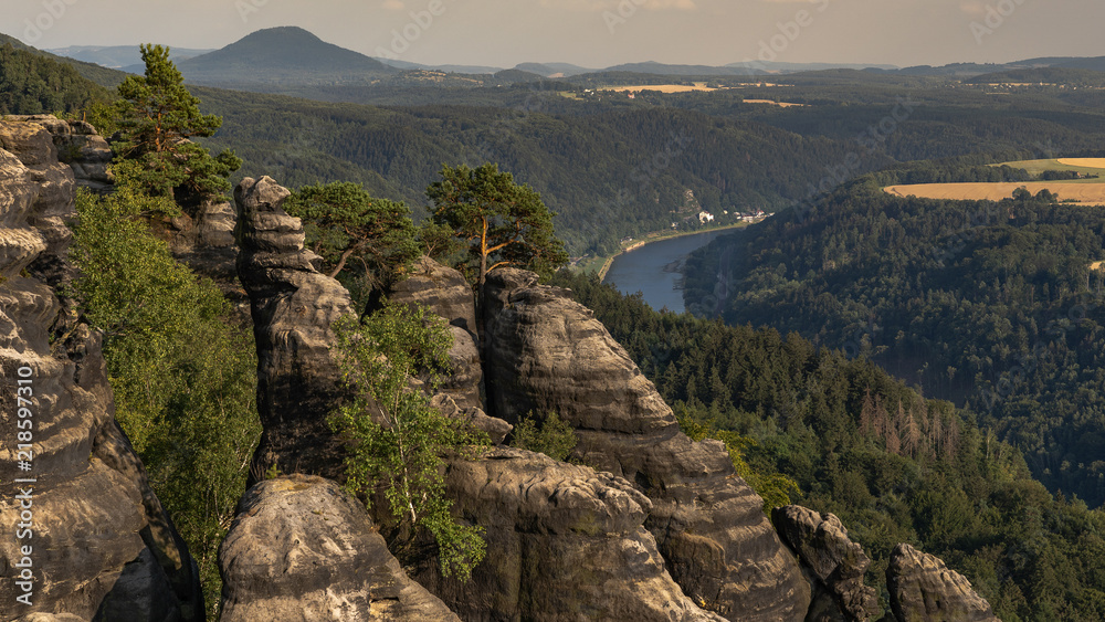 kleiner Felsenwald - small forest growing on rocks