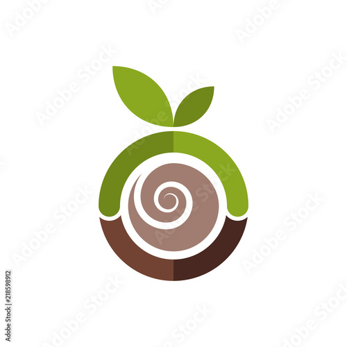 Abstract green apple logo template. Spiral brown seed inside the apple. Vector illustration.